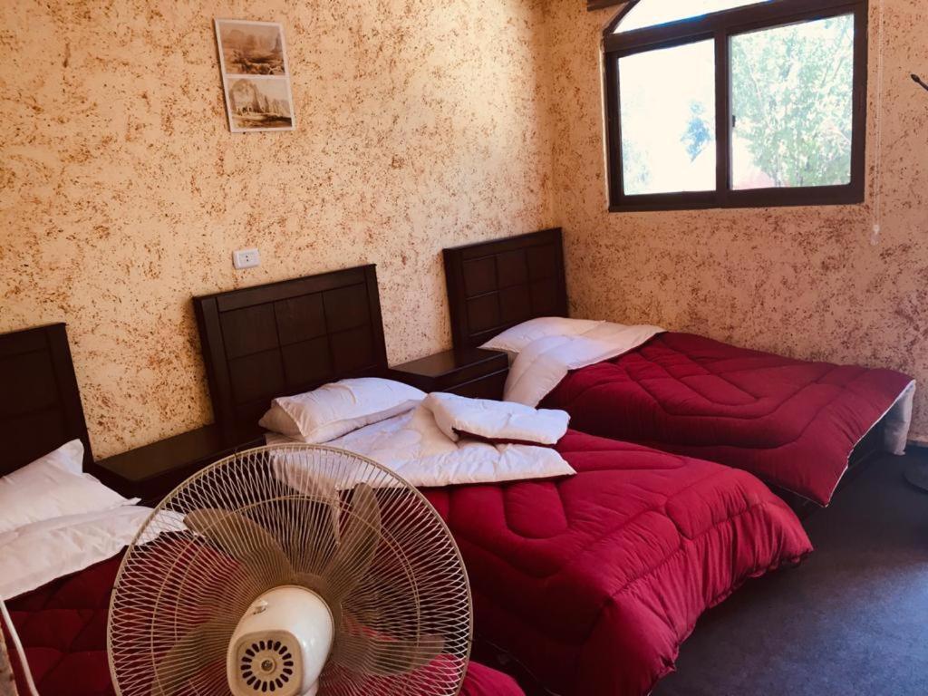 Guest House Attallah Wadi Musa Extérieur photo