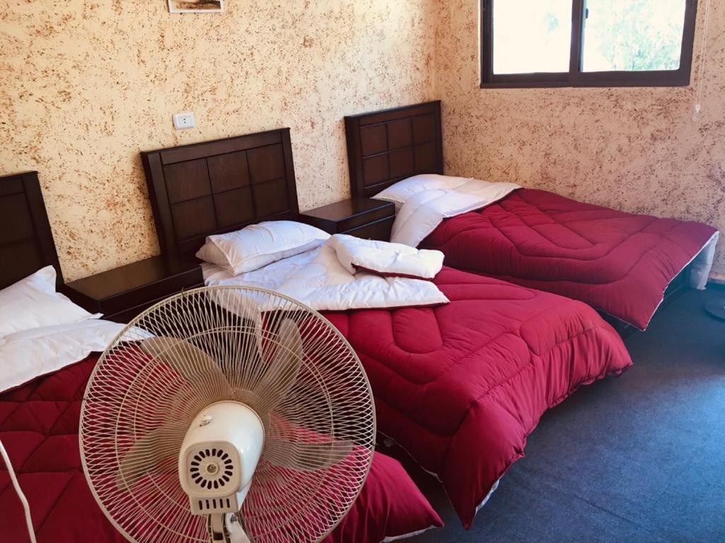 Guest House Attallah Wadi Musa Extérieur photo